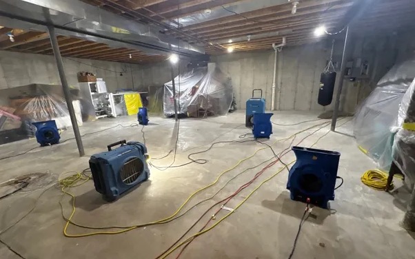 Basement Mold Cleanup in Melbourne, FL