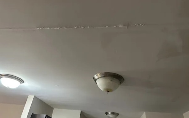 Ceiling Mold Removal in Melbourne, FL