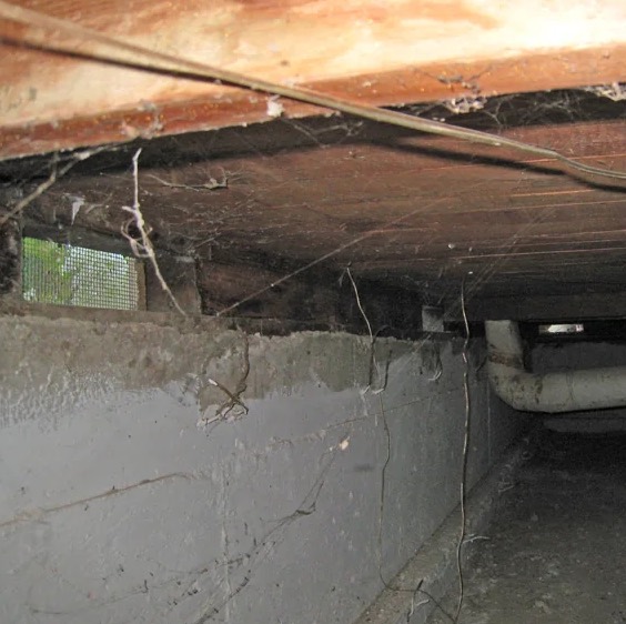 Crawl Space Water Damage Cleanup in Melbourne, FL