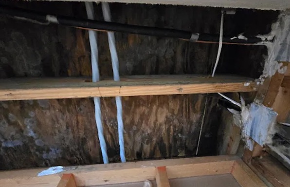 Attic Water Damage Restoration in Melbourne, FL