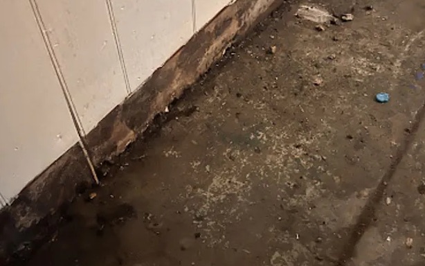 Black Water Cleanup in Melbourne, FL